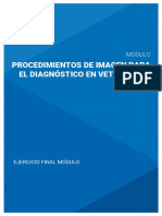 Procedimientos de Imagen para El Diagnóstico en Veterinaria: Módulo