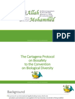 The Cartagena Protocol
