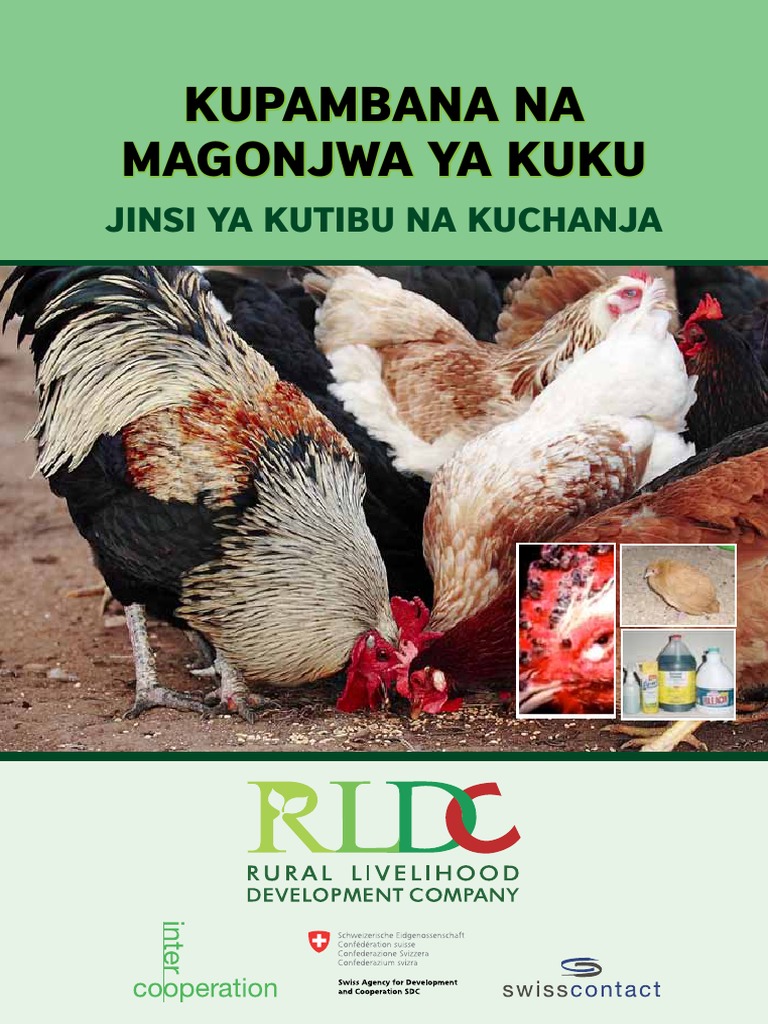 Chanjo Na Tiba Ya Magojwa Ya Kuku PDF | PDF