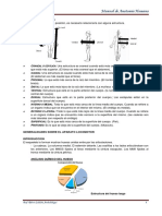 Ana01 PDF