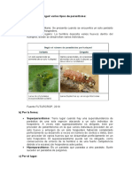 trabajo de Parasitoides.docx