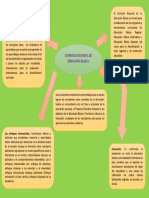 Educacion Basica PDF