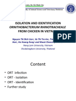 Isolation and Identification Ort From Chicken