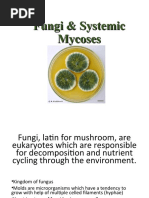 Fungi & Systemic Mycoses