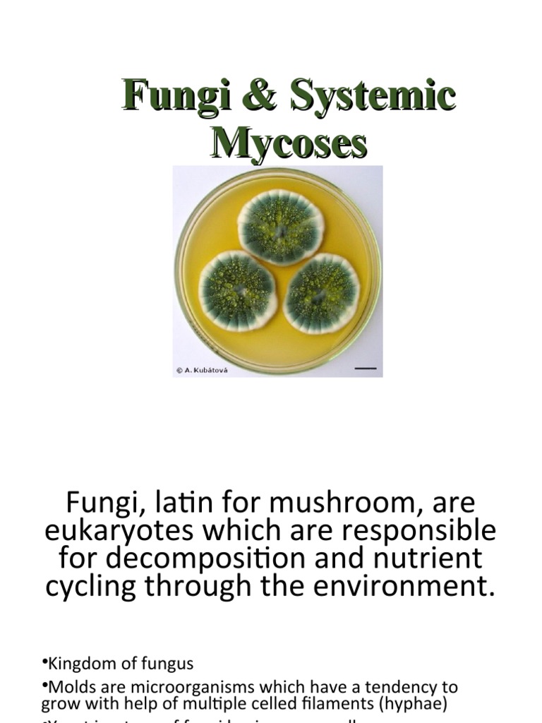 Fungi & Systemic Mycoses | PDF | Candida (Fungus) | Fungus