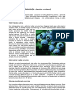 Borovnica PDF