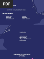 Software Development Life Cycle