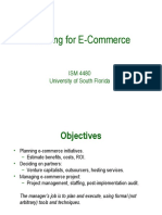 Planning For E-Commerce: ISM 4480 University of South Florida
