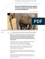 Namibia Vinde 170 de Elefanți Din Cauza Secetei Și Conflictelor Dintre Oameni Și Animale. Statul Ar Fi Fost Acuzat Că ÎI Măcelărește PDF