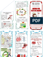 Triptico Anemia Ferropenica