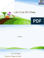 Muhammad Alam - Life Cycle of A Plant (Template)
