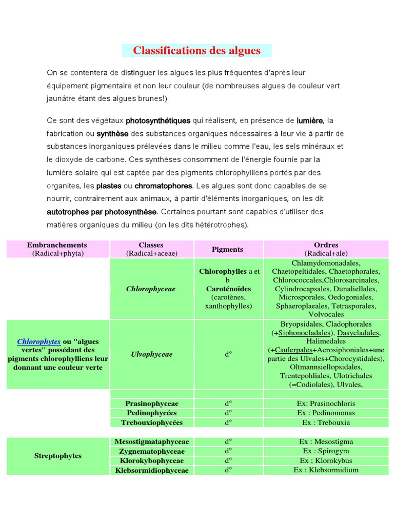 Classification Algues PDF PDF Algue Chlorophylle — free download