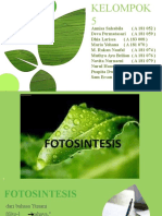Fotosintesis Botani Farmasi