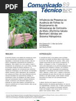 Enraizamento de Miniestacas de Corticeira Do Mato (Erythrina Falcata)[1]