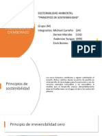 Principios de Sostenibilidad PDF