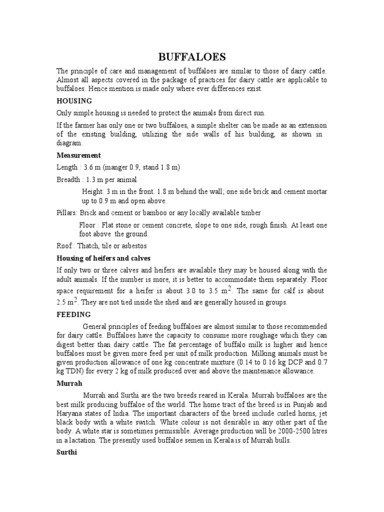 Buffalo Care and Management Guide | PDF