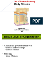 Body Tissues: DR Fadel Naim Ass. Prof. Faculty of Medicine IUG