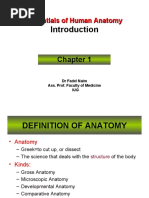 Essentials of Human Anatomy