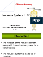 Nervous System I: Essentials of Human Anatomy