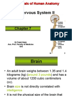 Nervous System II: Essentials of Human Anatomy