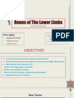 2.bones of The Lower Limbs PDF