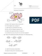Kingdom Classification - W - 3 (Protista) PDF