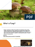 Fungi - VII-ppt by Vamika