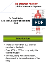 5. Muscular System.ppt