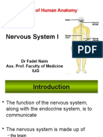 6. Nervous System I.pptx