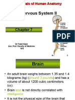 6. Nervous System II.ppt