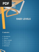 Raid PDF