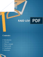 Raid PDF