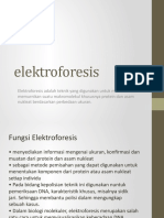 Elektroforesis