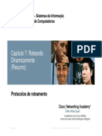 Roteamento Dinamico CISCO PDF