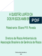 A Questao Juridica Dos Riscos Ambientais