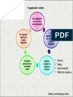 Organizador Grafico