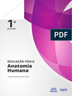anatomia-humana.pdf