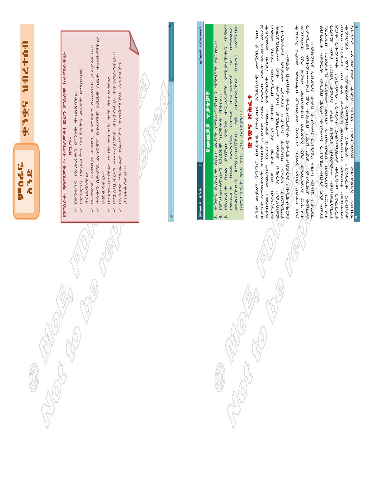 Amharic Sbk11 Copy 2