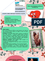 Icc Ponencia PDF