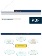 Nueva Ley Procesal del Trabajo Vision general (Pizarro) fines 