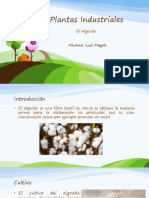 Plantas Industriales - El Algodon