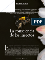 La Consciencia de Los Insectos