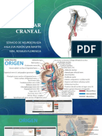 Noveno Par Craneal