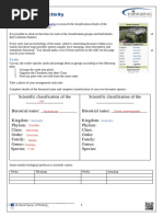 Classification Activity: To Do