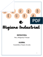 Seguridad e Higiene Industrial Tr1