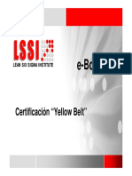 133189178-LSSI-Yellow-Belt-e-Book-pdf.pdf