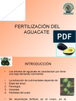 Fertilización Del Aguacate