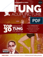 TOP 30 MASTER TUNG POINTS.pdf