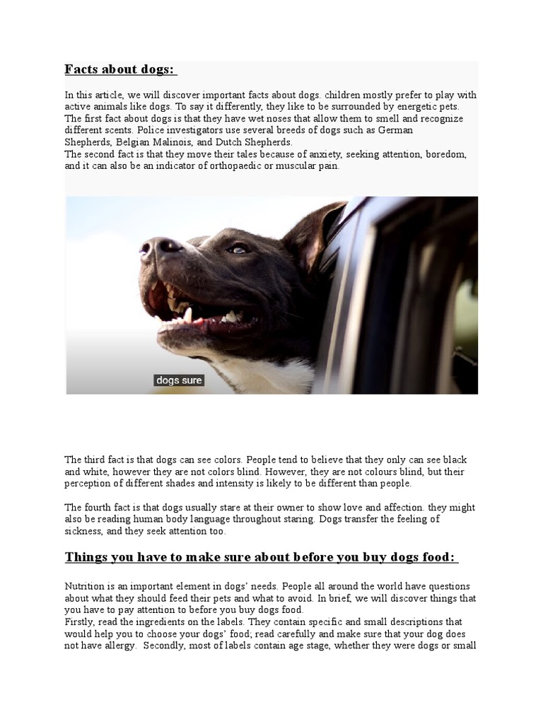 10 intelligence overview