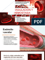 Coagulación y Hemostacio Exposicion SG9